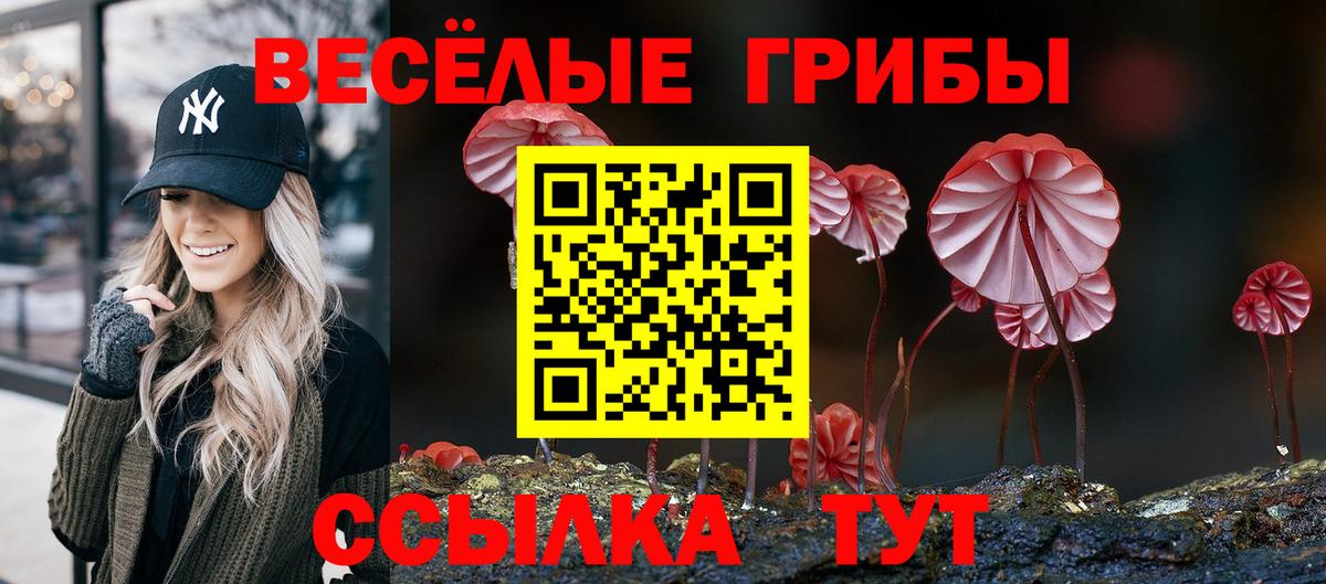 Галлюциногенные грибы мицелий Архангельск