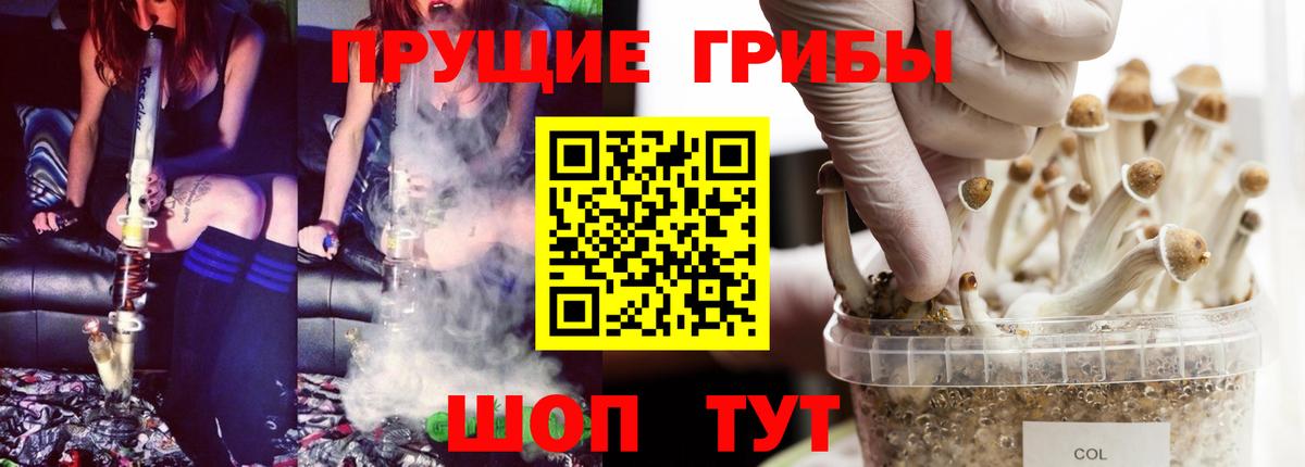 Архангельск  Псилоцибиновые грибы ЛСД  Вход с VPN 